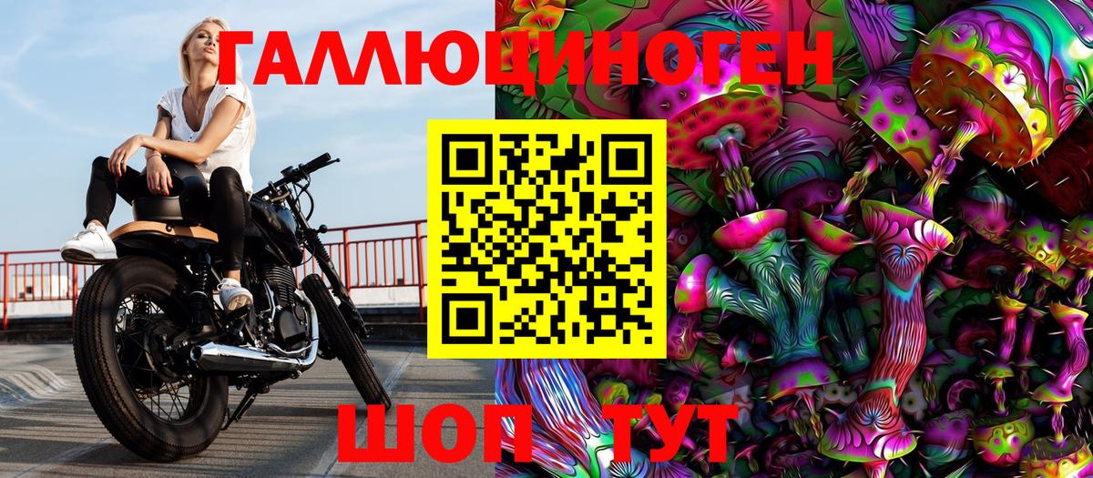 Псилоцибиновые грибы MAGIC MUSHROOMS  Балтийск 