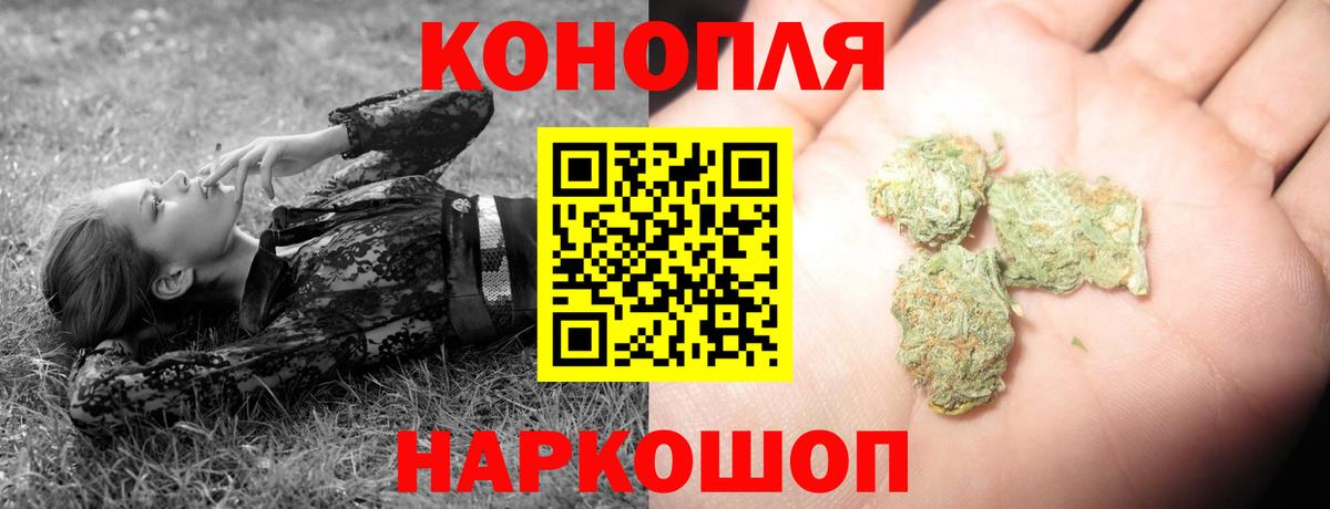Конопля Ganja  Бошки марихуана тримм  Балтийск  Вход с VPN 